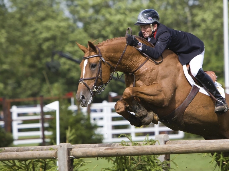 Equestrian Property For Sale, GOND-PONTOUVRE, 16160, FRANCE