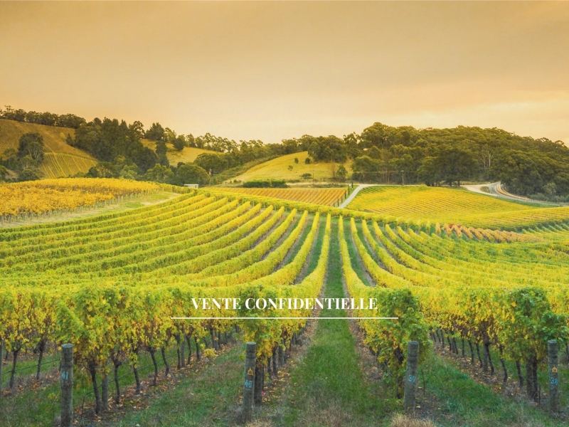 Village House For Sale, CREON, 33670, FRANCE