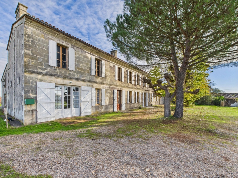 Vineyard For Sale, SAINT-LAURENT-DES-COMBES, 33330, FRANCE