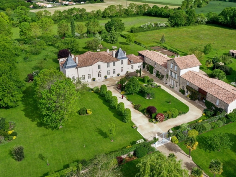Castle For Sale, BREUIL-MAGNE, 17870, FRANCE