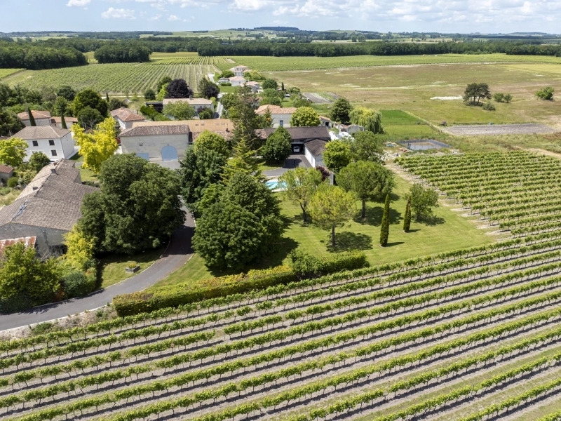 Vineyard For Sale, COGNAC, 16100, FRANCE