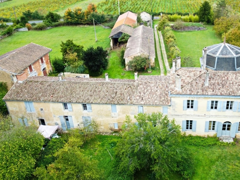 Castle For Sale, PLASSAC, 33390, FRANCE
