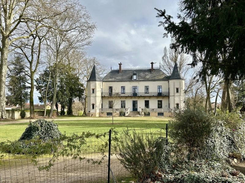 Castle For Sale, LUX, 71100, FRANCE
