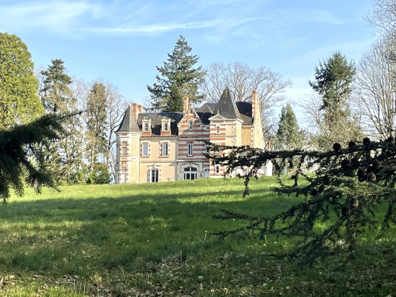 Castle For Sale, SAINT-MARTIN-DE-SAINT-MAIXENT, 79400, FRANCE