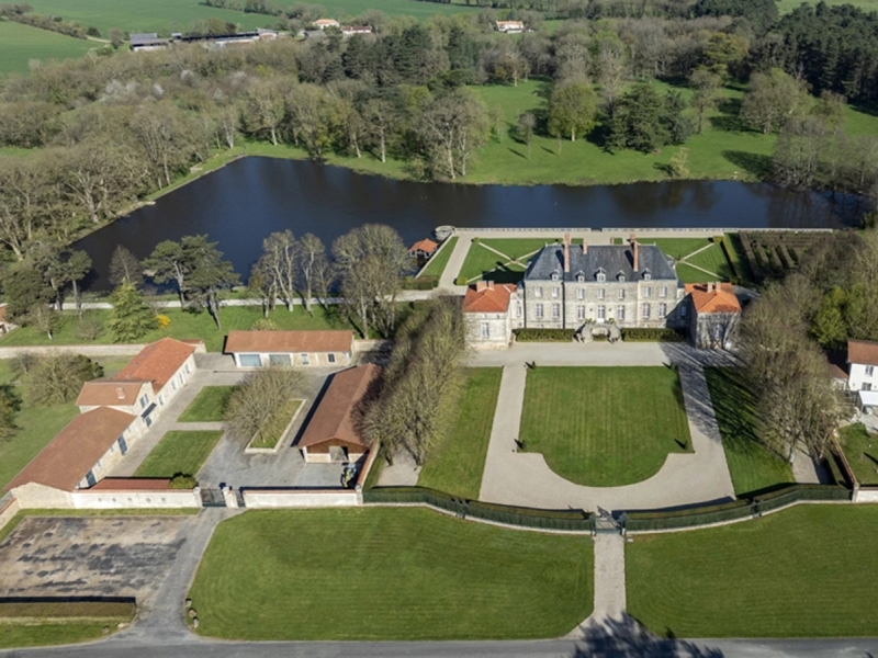 Castle For Sale, NESMY, 85310, FRANCE