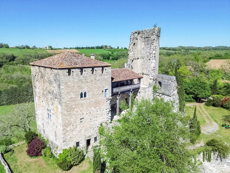 Castle For Sale, AGEN, 47000, FRANCE
