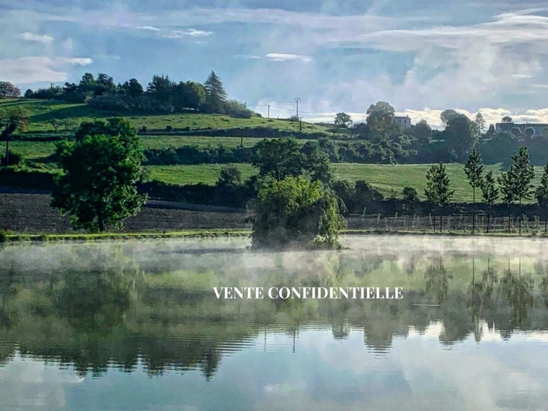Castle For Sale, BRIE-SOUS-CHALAIS, 16210, FRANCE