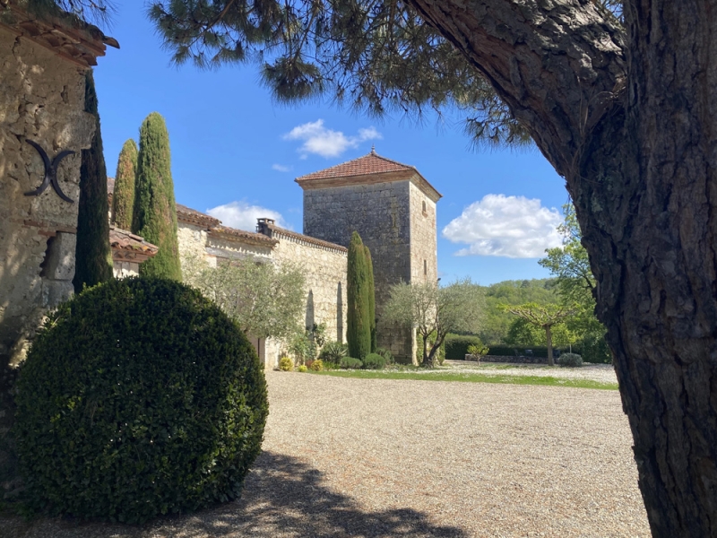 Chartreuse For Sale, SERIGNAC-SUR-GARONNE, 47310, FRANCE