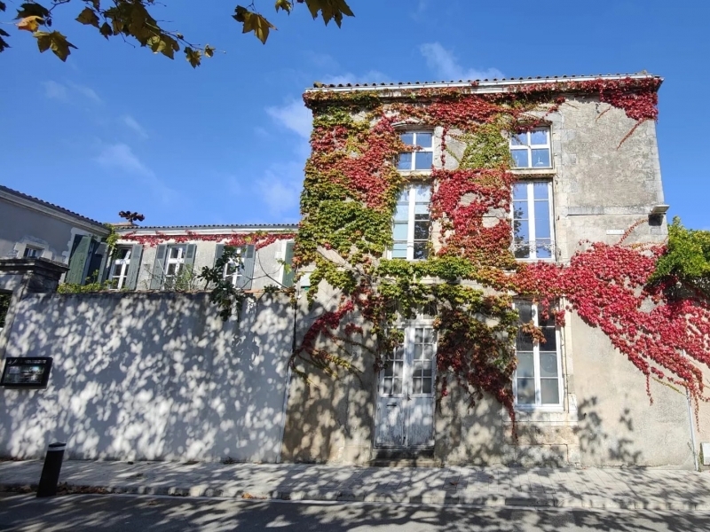 Domaine For Sale, LA FAUTE-SUR-MER, 85460, FRANCE