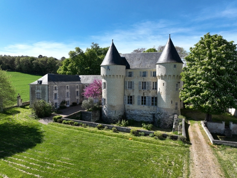 Castle For Sale, CHATELLERAULT, 86100, FRANCE