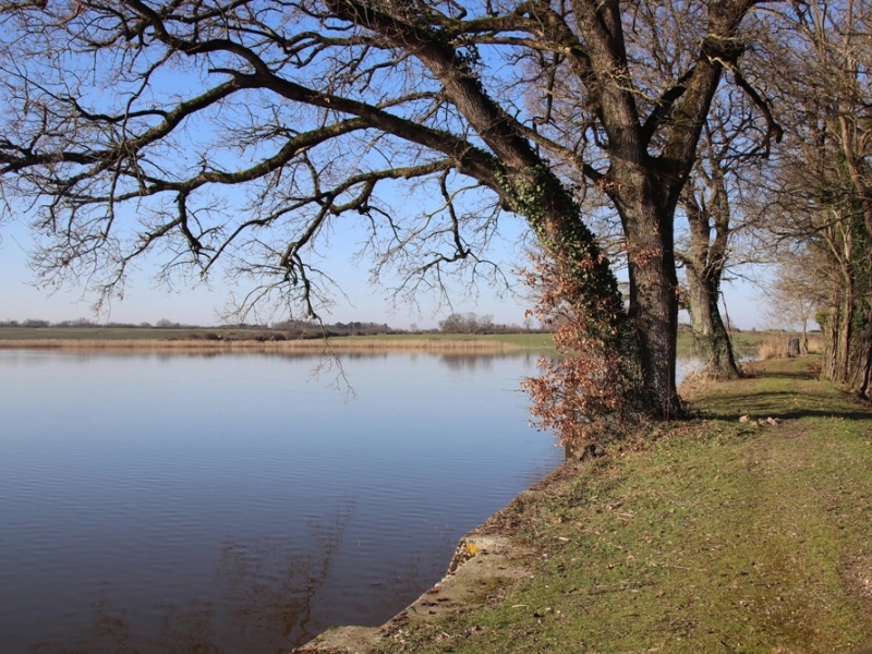 Farm For Sale, POULIGNY-SAINT-PIERRE, 36300, FRANCE