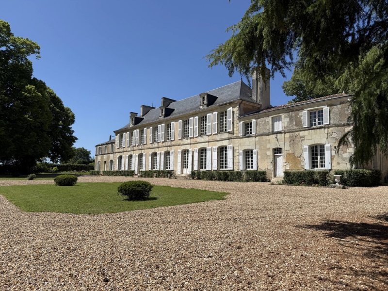 Castle For Sale, JAUNAY-CLAN, 86130, FRANCE