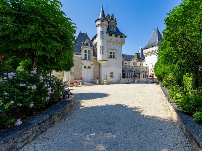 Castle For Sale, CANTILLAC, 24530, FRANCE