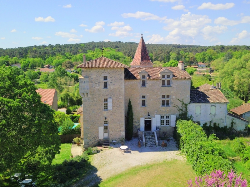 Castle For Sale, NERAC, 47600, FRANCE