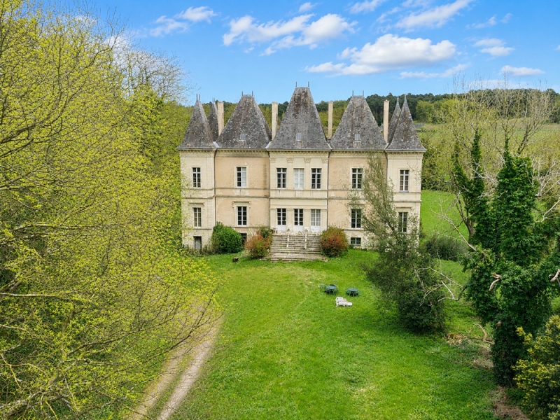 Castle For Sale, SAUMUR, 49400, FRANCE