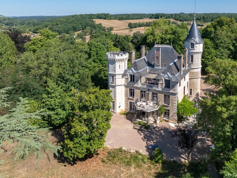Castle For Sale, CANTILLAC, 24530, FRANCE