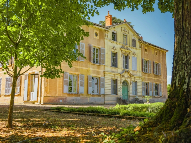 Castle For Sale, LIMAS, 69400, FRANCE