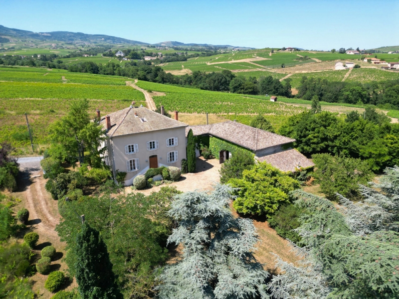 Vineyard For Sale, CERCIE, 69220, FRANCE