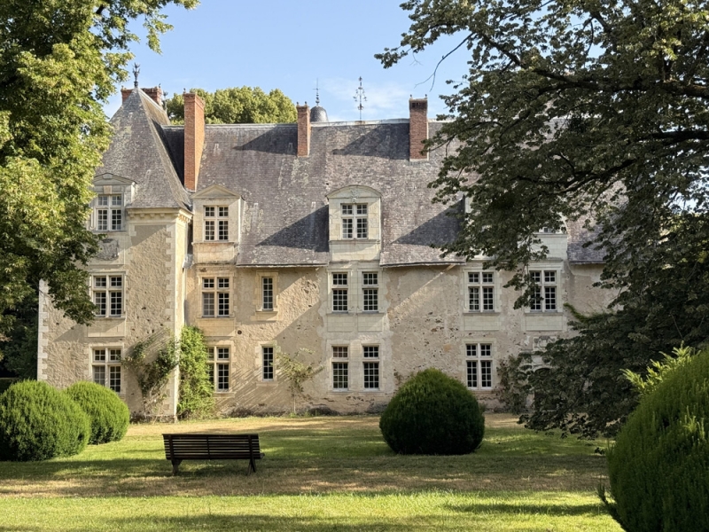Castle For Sale, LE LION D ANGERS, 49220, FRANCE