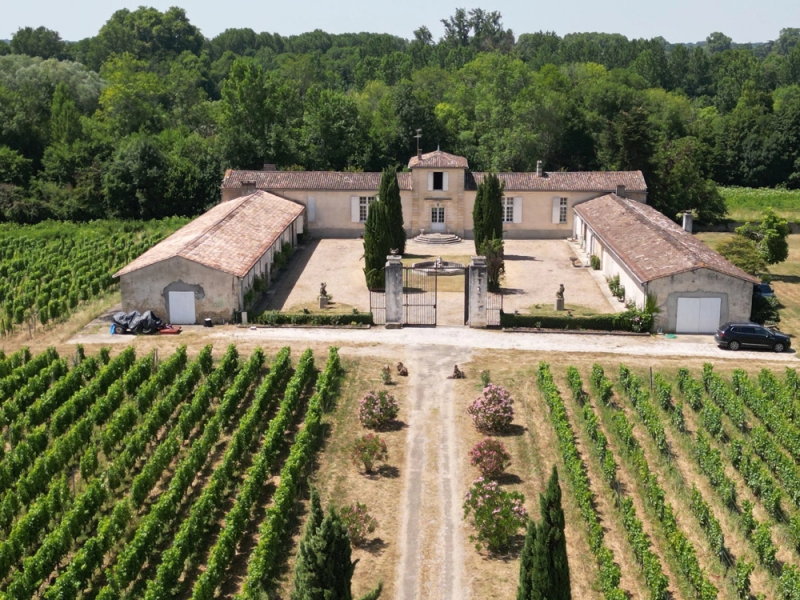 Chartreuse For Sale, PODENSAC, 33720, FRANCE