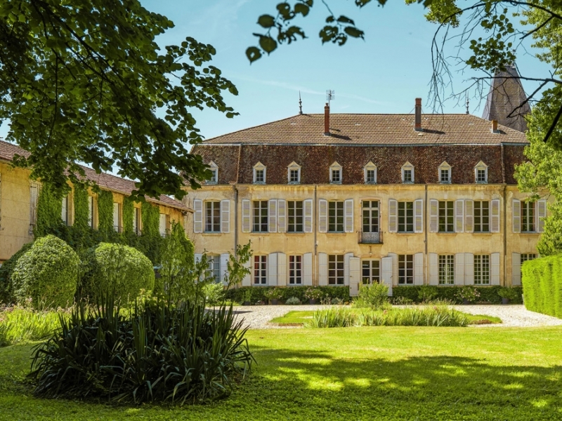 Castle For Sale, VONNAS, 01540, FRANCE