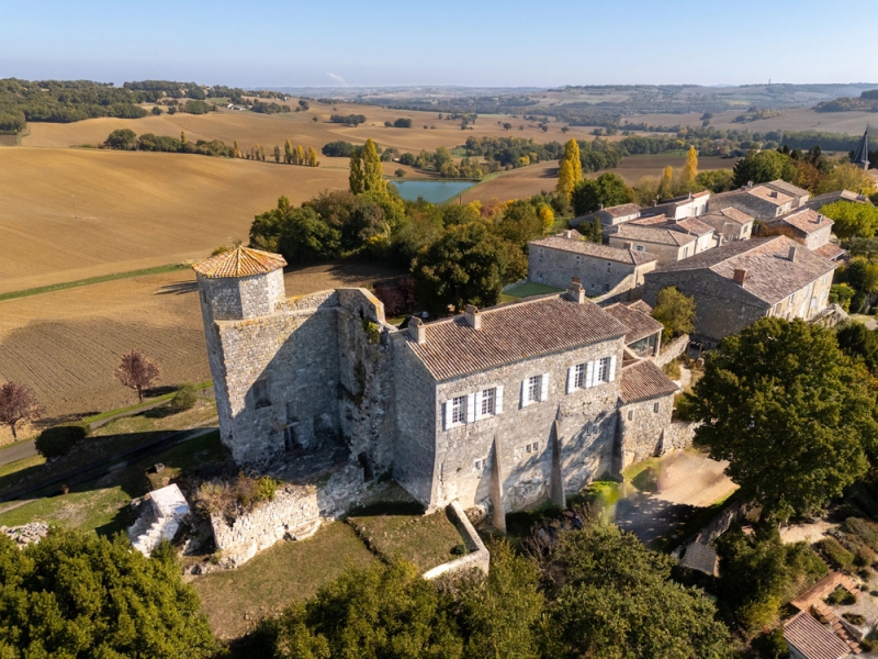Castle For Sale, LARROQUE-ENGALIN, 32480, FRANCE