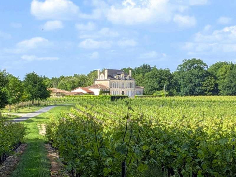 Manor House For Sale, SAINT-MARTIAL-DE-VITATERNE, 17500, FRANCE