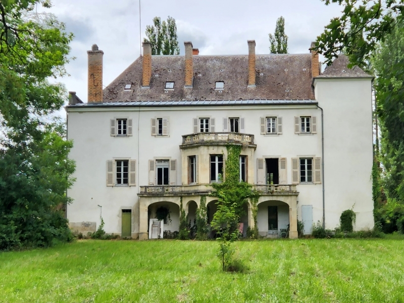 Castle For Sale, THIONNE, 03220, FRANCE