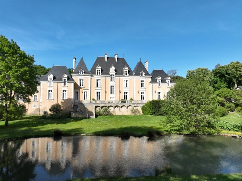 Castle For Sale, SAINT-BENOIT, 86280, FRANCE