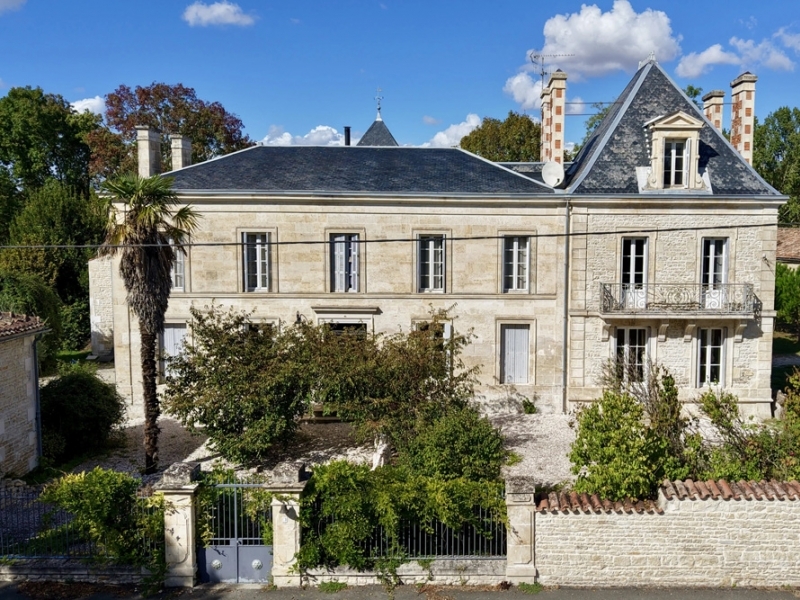Castle For Sale, SAINT-FELIX, 17330, FRANCE