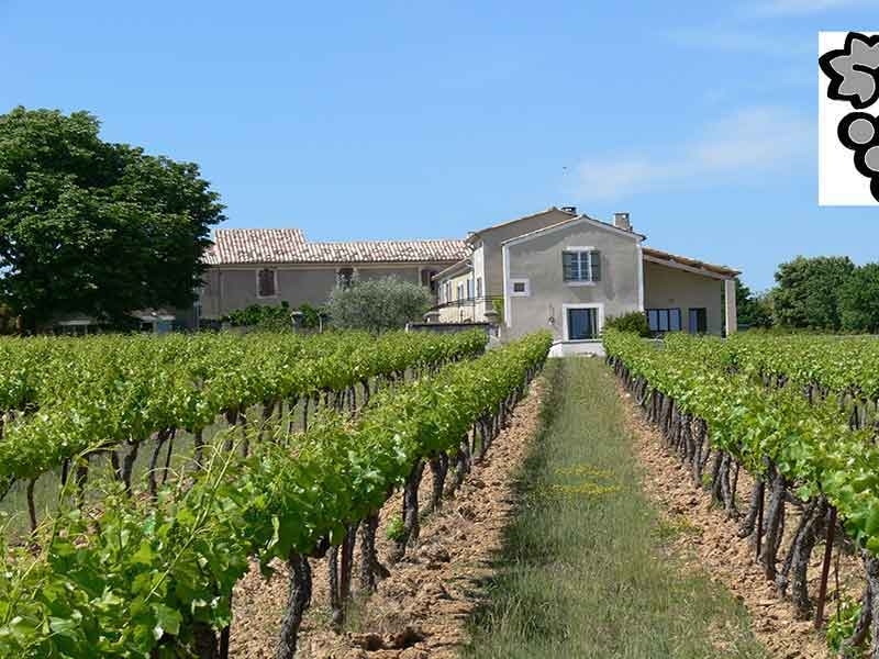 Vineyard For Sale, vaison la romaine, 84110, FRANCE