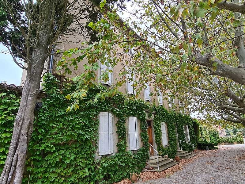 Vineyard For Sale, Carcassonne, 11000, FRANCE